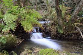 We did not find results for: Facebook