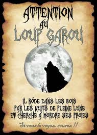 Affiche Loup Garou Fetes A Theme Harry Potter Harry Potter