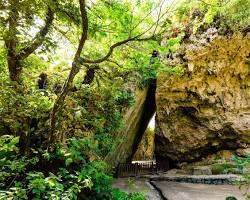斎場御嶽の画像