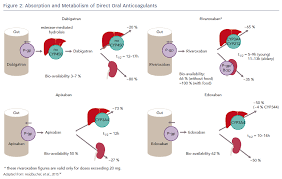 Apixaban belongs to a group of drugs called xa inhibitor anticoagulants, which decrease the chance of a blood clot forming in the body. The Significance Of Drug Drug And Drug Food Interactions Of Oral Anticoagulation Aer Journal