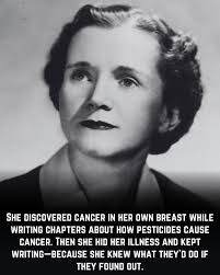 The World's Most Dangerous House The Cliff House by Modscape is a  five-story modular home that clings to the side of a cliff, designed to  offer thrilling ocean views and an adventurous