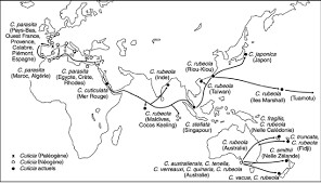 Choisissez entre une carte sim de 1,5 go pour 7 jours ou une carte sim avec données illimitées. Carte De Repartition Stratigraphique Et Geographique Des Especes Du Download Scientific Diagram