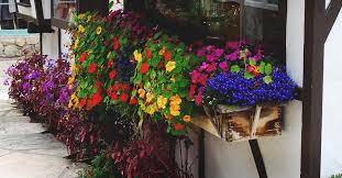 Cost $ skill level start to finish ½ day. How To Build Diy Window Box Planters On The Budget In 5 Easy Steps