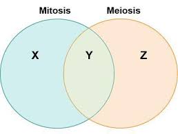 Harold Makes A Venn Diagram To Help Him Compare And Contrast