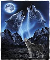 Wolf howling at full moon with white ghost has a blue background with waterfront and relection of the moon on the water. Wolves Howling At The Moon Pictures