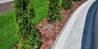 These various materials differ in price range. Landscaping Edging Ideas Think Green Design Build Landscape