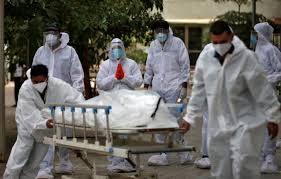 El hongo negro, la rara infección que ataca a pacientes covid, llegó a uruguay. Hongo Negro En Pacientes Covid En India No Debe Causar Alarma Considera Lopez Gatell Aristegui Noticias