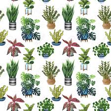 Use a slow release granular fertilizer. Indoor Plant Watercolor Seamless Pattern Home Plants Fig Tree Stock Photo Picture And Royalty Free Image Image 121566305