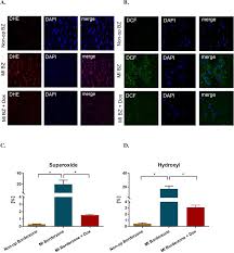 Plos One Short Term Doxycycline Treatment Induces Sustained Improvement In Myocardial Infarction Border Zone Contractility Despite my best efforts, i have not been able to remove the blue border around the facebook and twitter links on the home page for this site when viewing it with internet i've tried variations of the code above, and it successfully removes the blue border for every version of ie except 9. plos one short term doxycycline