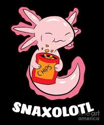 Cute animal drawings kawaii drawings cute drawings axolotl cute dibujos cute cute doodles this cute axolotl is handmade of the softest light pink minky fabric, which makes him irresistible for axolotl disney drawings cartoon drawings kawaii transparent pink drawing princess drawings. Cute Axolotl Lover Snaxolotl Kawaii Axolotl Food Sweets Digital Art By Eq Designs