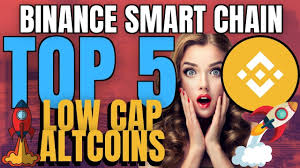 I am new to crypto trading and looking for potential low cap alt coins to hodl now. Top 5 Low Cap Coins On Binance Smart Chain Bsc Cryptocoingraph