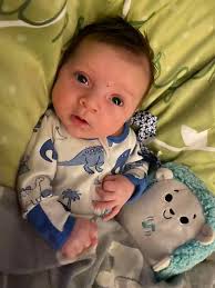 Outdoor Kitchen Bars 🩶🔥