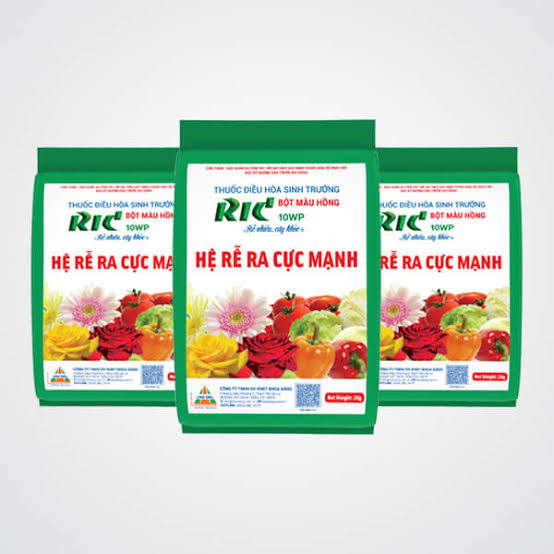 RIC 10WP
