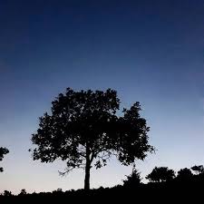 Ay Karanlik Maviye Maviye Calar Gozlerin Yangin Mavisine Ruzgarda Asi Korsem Senden Gayrisina Ay Karanlik Maviye Maviye Calar Gozleri Outdoor Clouds Celestial