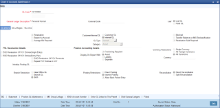 Assets And Liabilities Chart Lamasa Jasonkellyphoto Co