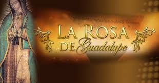 Get phone numbers, email addresses, org charts and more from virtually everyone working in entertainment! Avance La Rosa De Guadalupe Lucero Buscara Quien Le Ayude Con Su Hija America Television