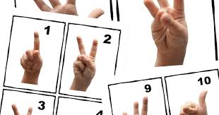 The sign language alphabet chart printable template showcases a sign. Free Printable Asl Sign Language Number Cards Poster And Next Comes L Hyperlexia Resources