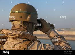 Image result for Medium Brown 2020 Fleet