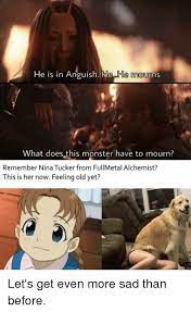 Fullmetal Alchemist Brotherhood Nina Memes