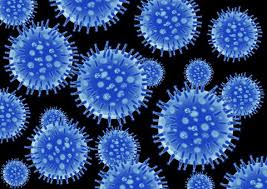 Pin On Microscopic Universes