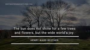 Sun Quotes Captions 200 Of The Sunshine Quotes For Instagram
