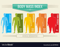 Man Body Mass Index Fitness Bmi Chart With