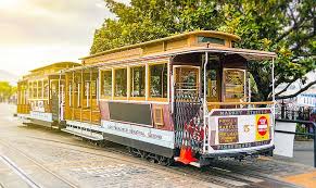 Maybe you would like to learn more about one of these? House Sitting Dog Sitting Pet Sitting Jobs In San Francisco House Sitters America