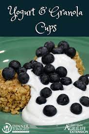 Yogurt And Granola Cups Recipe Yogurt And Granola Granola Dinner Tonight