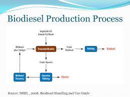 Ratio of alcohol to algae. Transesterification October 05 Ppt Video Online Download