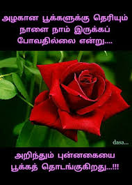 Pin By Benitta Milroy On Tamil Quotes Rose Truth