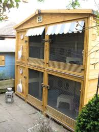 Sean biro (abiro0654)