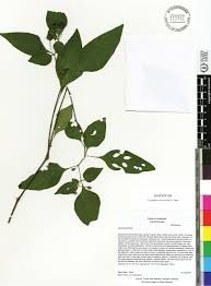 Maybe you would like to learn more about one of these? Included