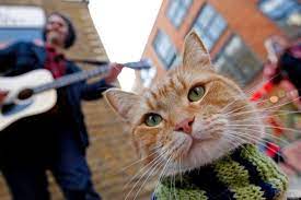 During december, amazon prime is getting lots of titles. What To Watch On Amazon Prime Video In December 2020