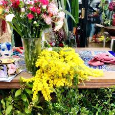 Brunch enthusiasts and cocktail fanatics mark your calendars — may 16 is national mimosa day! Mimosa Blosson On The International Women S Day In Italy La Festa Della Donna Within Florence