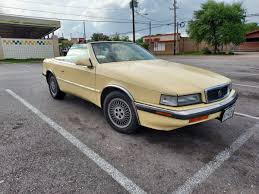 Image result for Medium Walnut 1990 Tracer