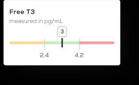 We did not find results for: At Home Thyroid Test Easy To Use And Understand Everlywell