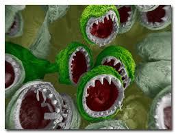 The Tentacles Of A Squid Are Covered In Suction Cups Sort Of Like Those Garfield Dolls You Can H Things Under A Microscope Microscopic Microscopic Photography