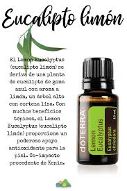 Aceite Esencial De Eucalipto Limon De Dōterra In 2020 Doterra Oils Doterra Doterra Business