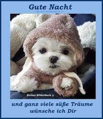 Gute nacht bilder zum verschicken für die freundin zum totlachen herzlich & liebevoll für gute gedanken vor dem schlafen. Pin Von Bernadett Urban Auf Kedvenceim Gute Nacht Grusse Liebe Gute Nacht Grusse Gute Nacht