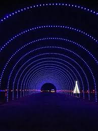 Drive Through Light Display Archives What Should We Do Today