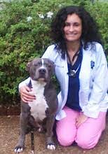 604 veterans memorial blvd, metairie, la. Dr Tippy Adams Pet Care Center Veterinary Hospital Metairie La