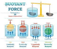 Buoyant Force Illustrative Educational Physics Diagram Physics Cool Science Experiments Learn Physics