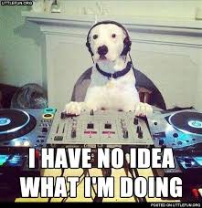 I Have No Idea What I M Doing Animals Funny Animal Videos Funny Animals