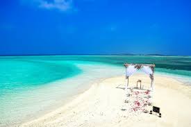 7 Best Beaches For A Wedding In Florida Florida Rentals Blog Price and stock could change after publish date, and we may make. 7 best beaches for a wedding in florida