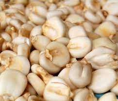 Jan 29, 2020 · drain the can of hominy well. Making Hominy Is Easy And Inexpensive Preparedness Advice