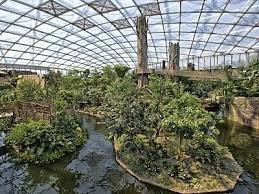 gondwanaland zoo leipzig leipzig germany zoo architecture zoo decor public aquarium