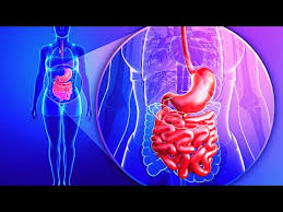 @article{wallace2008prostaglandinsna, title={prostaglandins, nsaids, and gastric mucosal protection: Download Why Doesn T Your Stomach Digest Itself