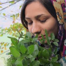 Stream Samae Payani by saj.ha