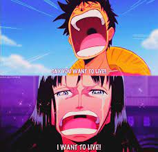 I Bawled Like A Kid At This Scene One Piece Anime Brooks One Piece One Piece New World