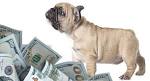 Learn why French Bulldogs can cost $100,000+!
